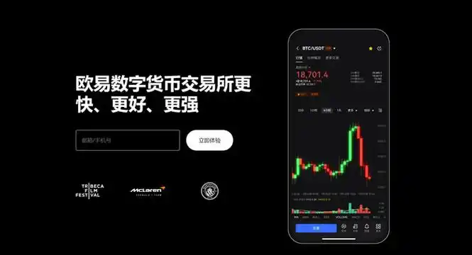 oe官方app下载页面展示